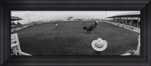 Framed Cowboy riding bull at rodeo arena, Pecos, Texas, USA Print