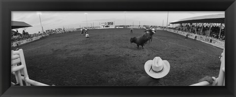 Framed Cowboy riding bull at rodeo arena, Pecos, Texas, USA Print