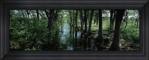 Framed Trees along Blanco River, Texas, USA Print
