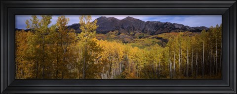 Framed Trees in autumn, Colorado Print