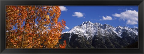 Framed Autumn Trees and snowcapped mountains, Colorado Print