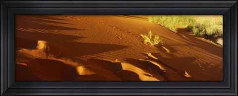 Framed Sand dunes in a desert, Jordan (horizontal) Print