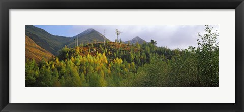 Framed Trees on a mountain, Five Sisters of Kintail, Glen Shiel, Highland Region, Scotland Print