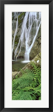 Framed Ferns and the Aber Falls, Abergwyngregyn, Gwynedd, Wales Print