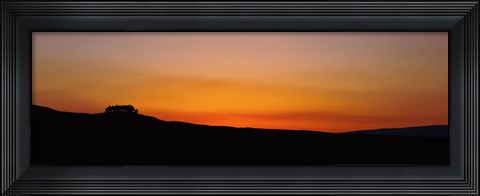 Framed Silhouette of a tree at dusk, Kirkcarrion, Middleton-In-Teesdale, County Durham, England Print