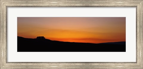 Framed Silhouette of a tree at dusk, Kirkcarrion, Middleton-In-Teesdale, County Durham, England Print