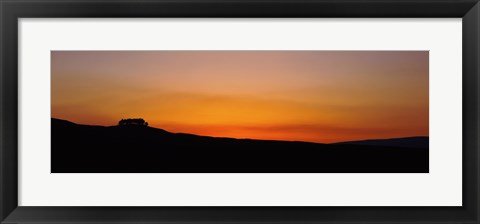 Framed Silhouette of a tree at dusk, Kirkcarrion, Middleton-In-Teesdale, County Durham, England Print