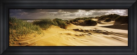 Framed Marram grass on the beach, Sands of Forvie, Newburgh, Aberdeenshire, Scotland Print