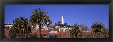 Framed Palm trees with Coit Tower in background, San Francisco, California, USA Print