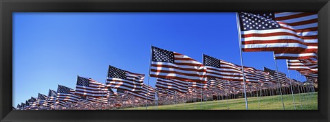 Framed American flags, Pepperdine University, Malibu, California Print