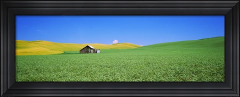 Framed Shack in a field, Palouse County, Washington State Print
