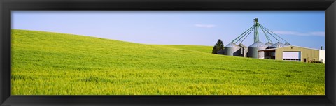 Framed Wheat field with silos in the background, Palouse County, Washington State Print