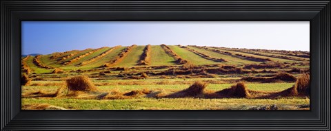 Framed Harvested wheat field, Palouse County, Washington State, USA Print