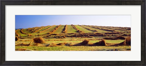 Framed Harvested wheat field, Palouse County, Washington State, USA Print