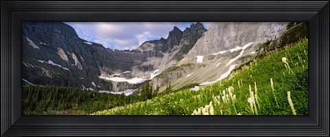 Framed Beargrass with mountains in the background, Montana Print
