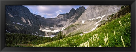 Framed Beargrass with mountains in the background, Montana Print