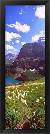 Framed Beargrass with Grinnell Lake in the background, US Glacier National Park, Montana Print