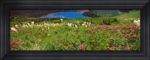 Framed Beargrass with Grinnell Lake in the background, Montana Print