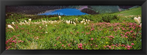 Framed Beargrass with Grinnell Lake in the background, Montana Print