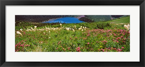 Framed Beargrass with Grinnell Lake in the background, Montana Print