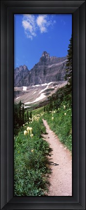 Framed Hiking trail at US Glacier National Park, Montana, USA Print