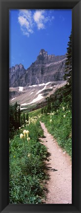 Framed Hiking trail at US Glacier National Park, Montana, USA Print