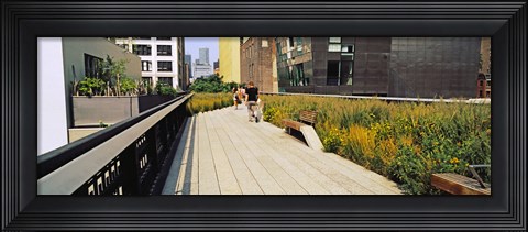 Framed Walkway in a linear park, High Line, New York City, New York State, USA Print