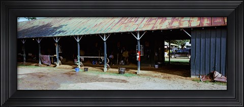 Framed Paddock at Saratoga Racecourse, Saratoga Springs, New York State, USA Print