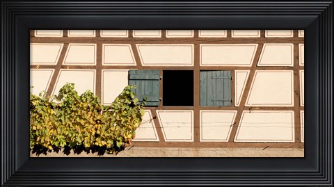 Framed Detail of half timber house and grape vines, Strumpfelbach, Baden-Wurttemberg, Germany Print