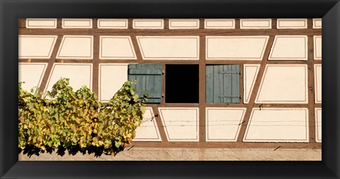 Framed Detail of half timber house and grape vines, Strumpfelbach, Baden-Wurttemberg, Germany Print