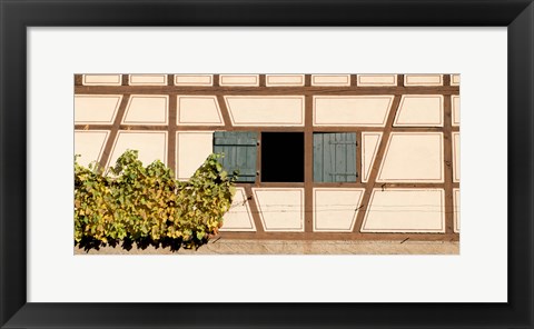 Framed Detail of half timber house and grape vines, Strumpfelbach, Baden-Wurttemberg, Germany Print