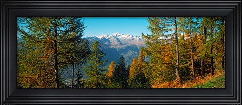 Framed Trees in autumn at Simplon Pass, Valais Canton, Switzerland (horizontal) Print