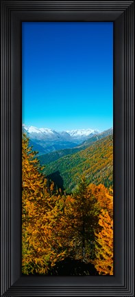 Framed Trees in autumn at Simplon Pass, Valais Canton, Switzerland (vertical) Print