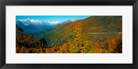 Framed Trees with road in autumn at Simplon Pass, Valais Canton, Switzerland Print