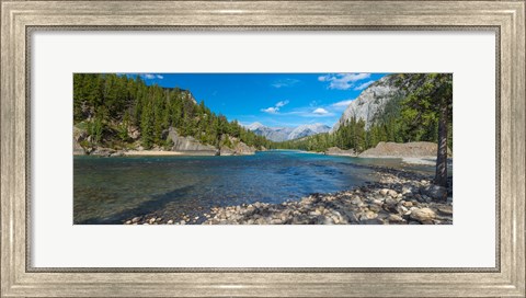 Framed River passing through a forest, Bow River, Banff National Park, Alberta, Canada Print