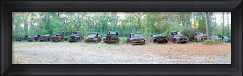Framed Old rusty cars and trucks in a field, Crawfordville, Wakulla County, Florida, USA Print