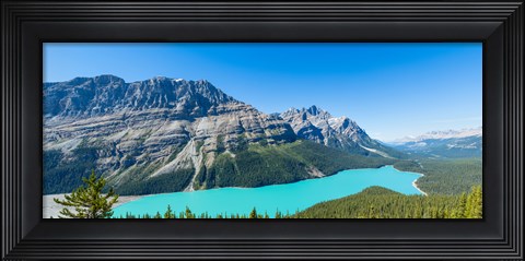 Framed Peyto Lake at Banff National Park, Alberta, Canada Print