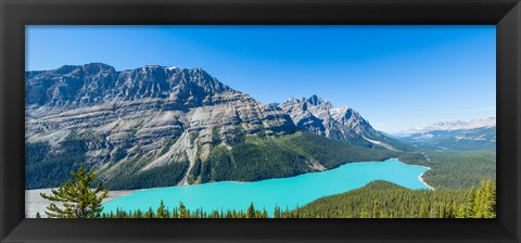 Framed Peyto Lake at Banff National Park, Alberta, Canada Print