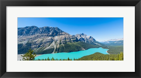 Framed Peyto Lake at Banff National Park, Alberta, Canada Print