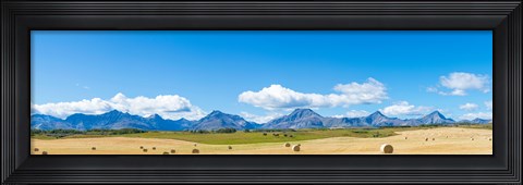 Framed Hay bales in a field with Canadian Rockies in the background, Alberta, Canada Print