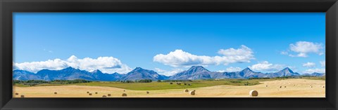 Framed Hay bales in a field with Canadian Rockies in the background, Alberta, Canada Print