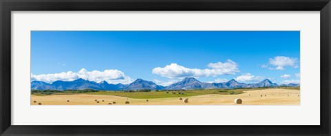 Framed Hay bales in a field with Canadian Rockies in the background, Alberta, Canada Print