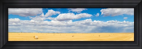 Framed Hay bales in a field, Alberta, Canada Print