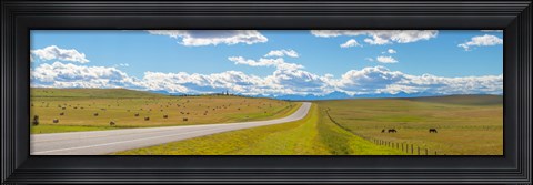 Framed Road passing through a field, Alberta, Canada Print