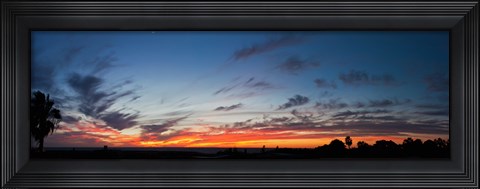 Framed Silhouette of trees at sunset, Todos Santos, Baja California, Mexico Print