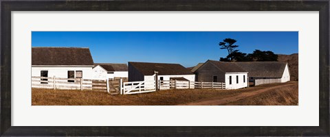 Framed Dairy buildings at Historic Pierce Point Ranch, Point Reyes National Seashore, Marin County, California, USA Print