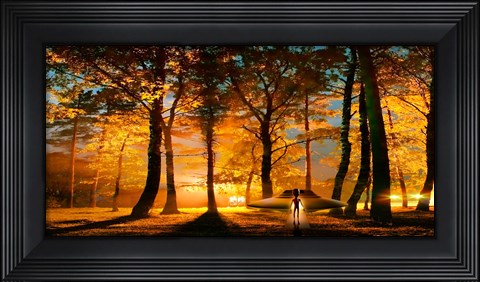 Framed Alien and UFO in the forest Print