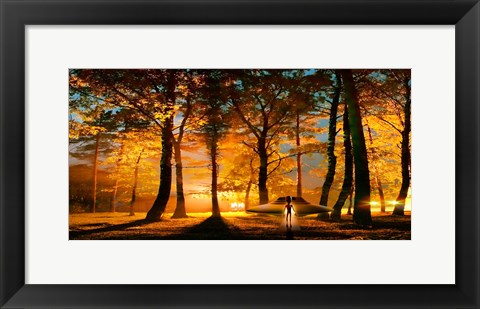 Framed Alien and UFO in the forest Print