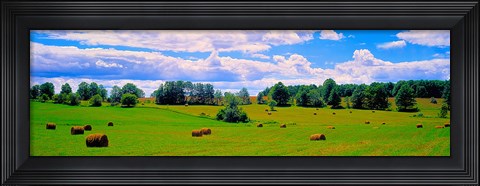 Framed Hay bales in a landscape, Michigan, USA Print