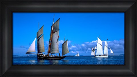Framed Tall ship regatta featuring Cancalaise and Granvillaise, Baie De Douarnenez, Finistere, Brittany, France Print